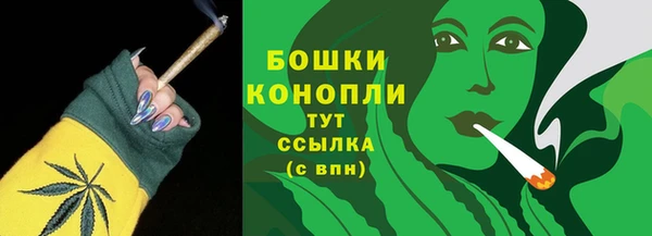 гидропоника Новодвинск