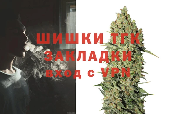 твердый Арсеньев