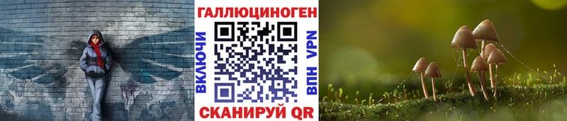 Галлюциногенные грибы Psilocybe  Усинск 